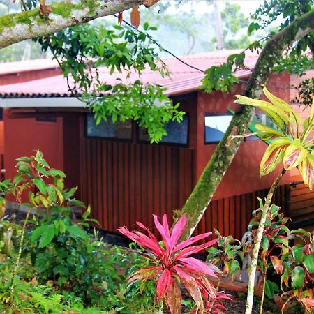 Casitas Eco Bambu Villa Cartago Exterior foto