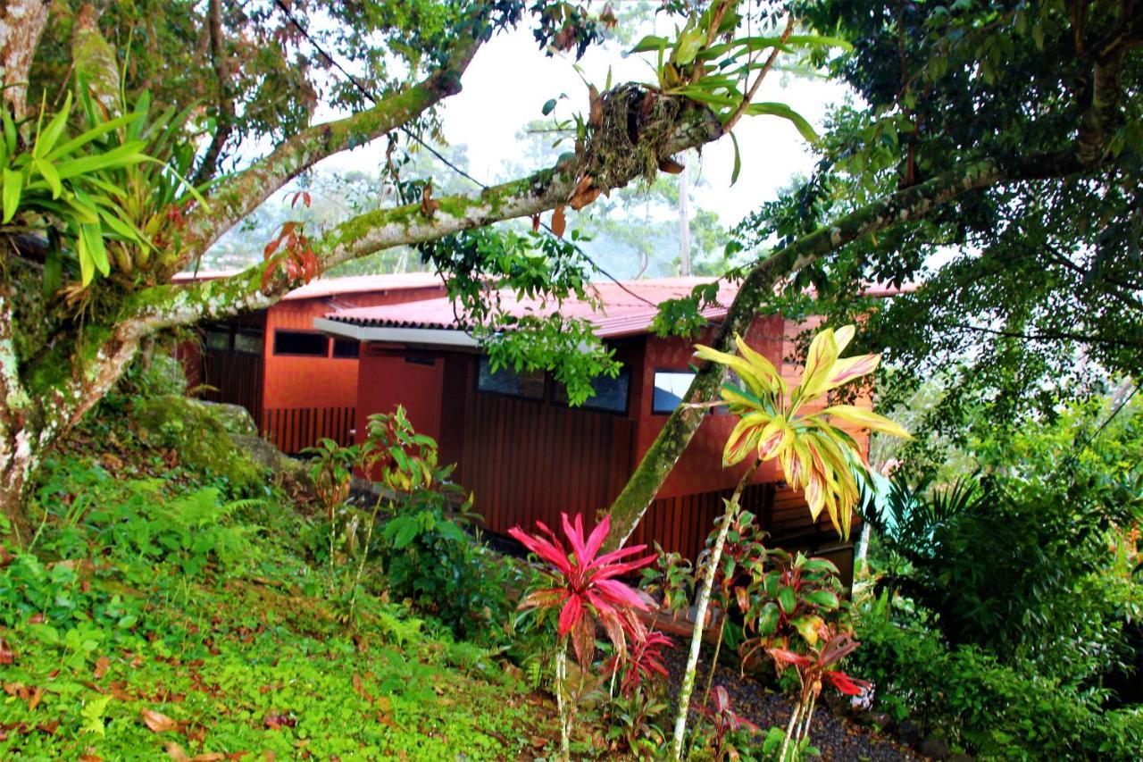 Casitas Eco Bambu Villa Cartago Exterior foto