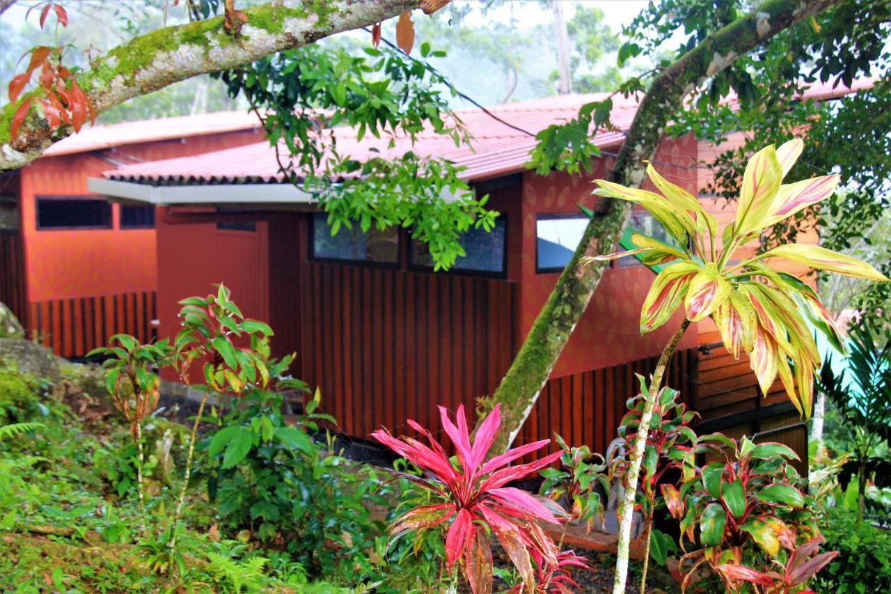 Casitas Eco Bambu Villa Cartago Exterior foto
